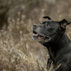 IMG_0439-Edit